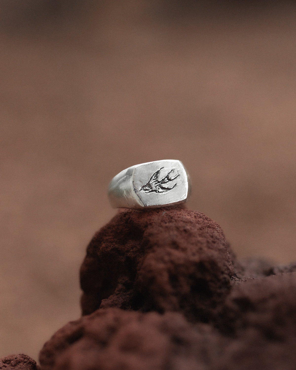 Sparrow Signet One of One